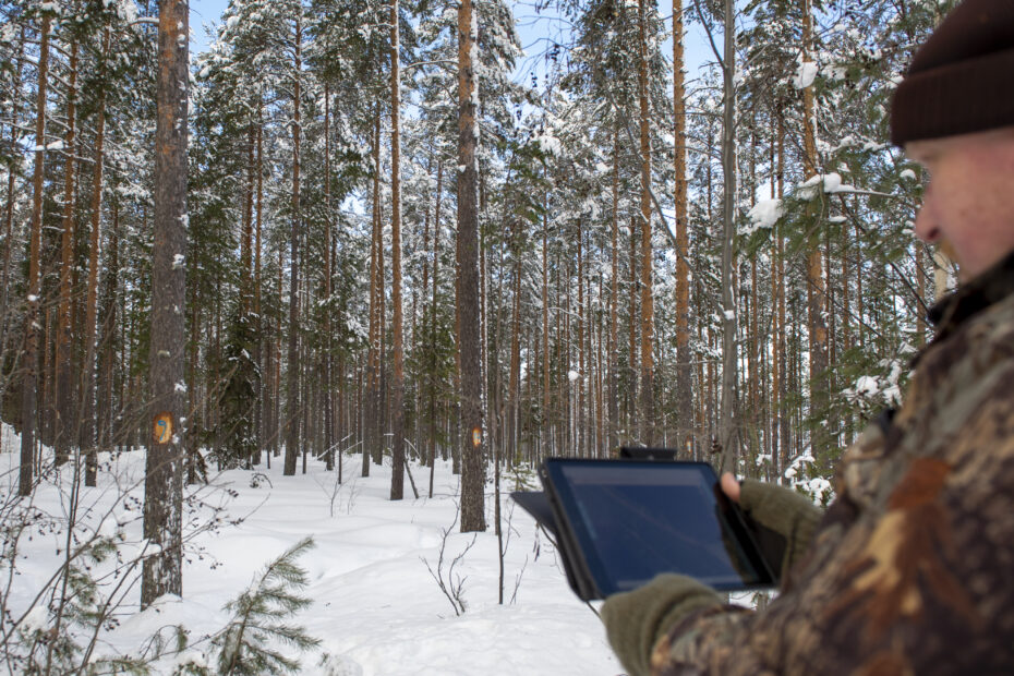 Forest information from a pad in a forest