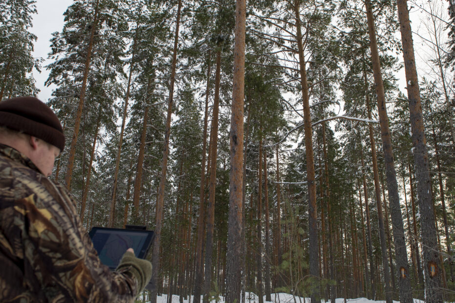 Metsätietoa tabletilta talvisessa metsässä