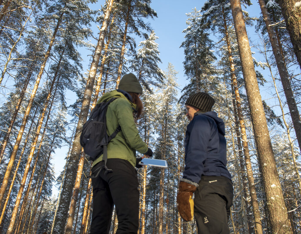 Forest information from a pad in a forest