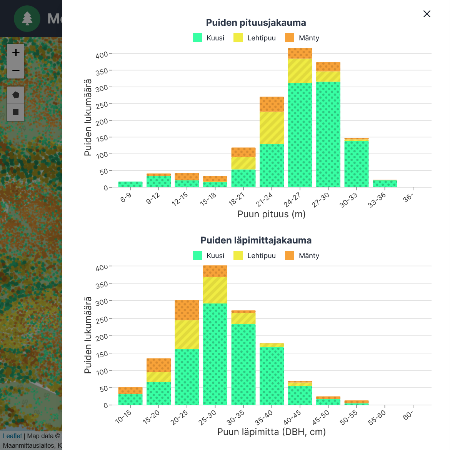 Forest information system report