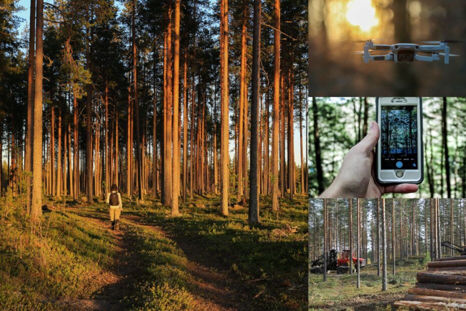 A compilation of four pictures, with a picture of a forest with a walker, a drone, a mobile phone and forest machines at work