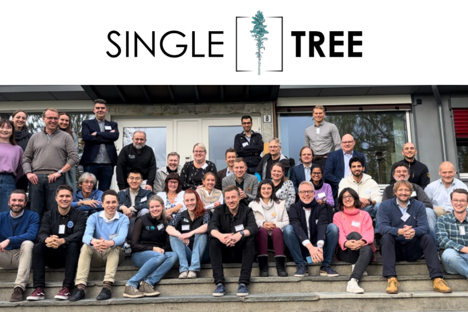 Group picture of SingleTree project group